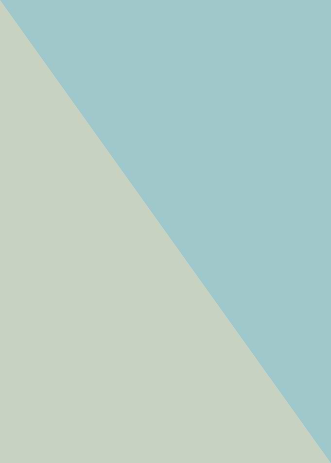 minimalist Geometric color Background