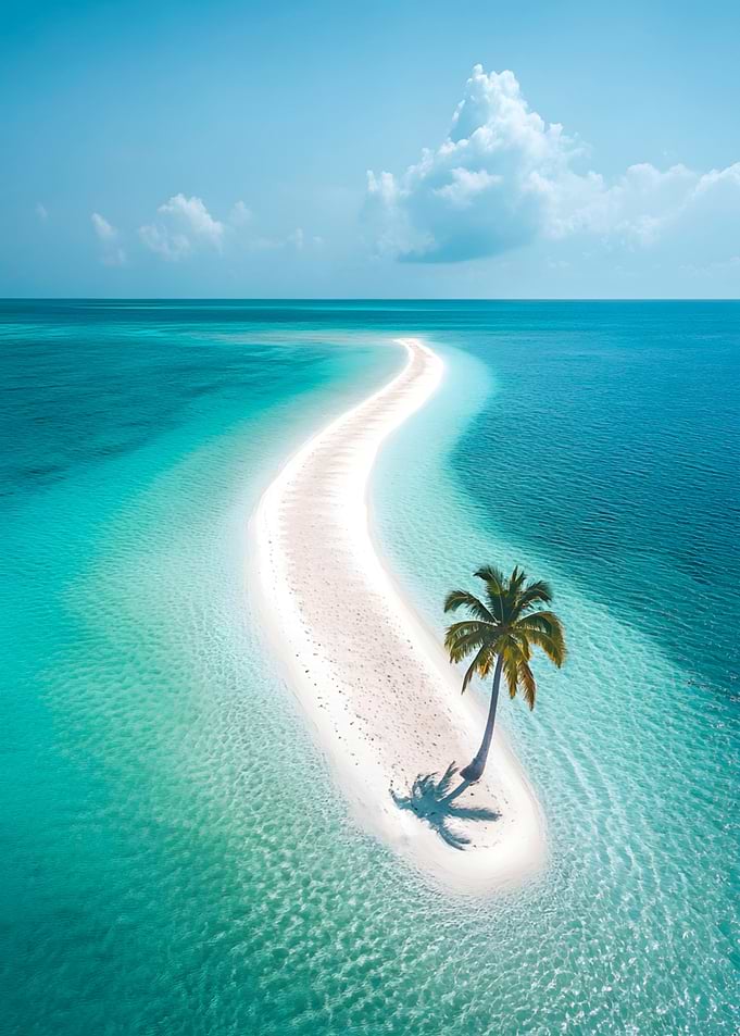 Palm Tree on a Sandbar