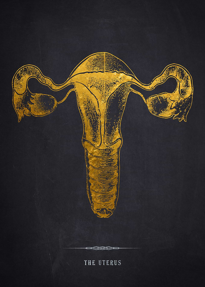 Gold Uterus Anatomy Print