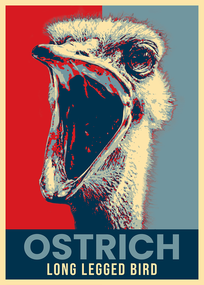 Ostrich pop Art Poster