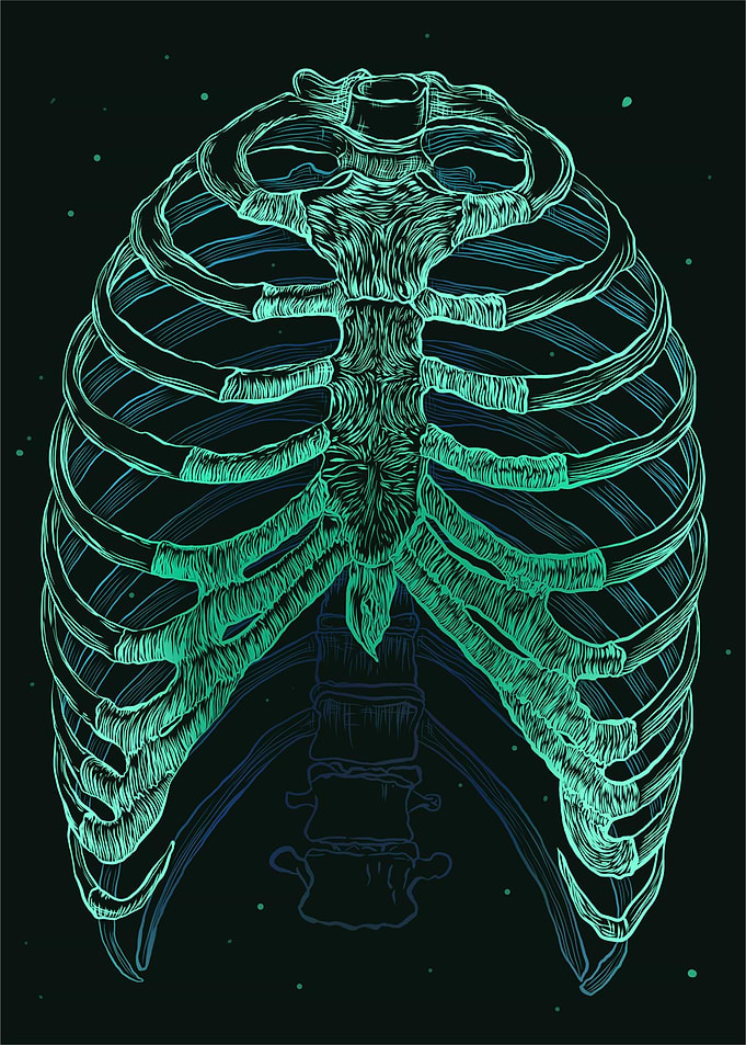 The Magical Rib Cage