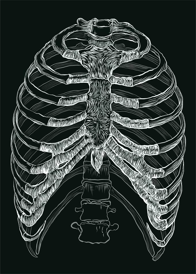 The Rib Cage