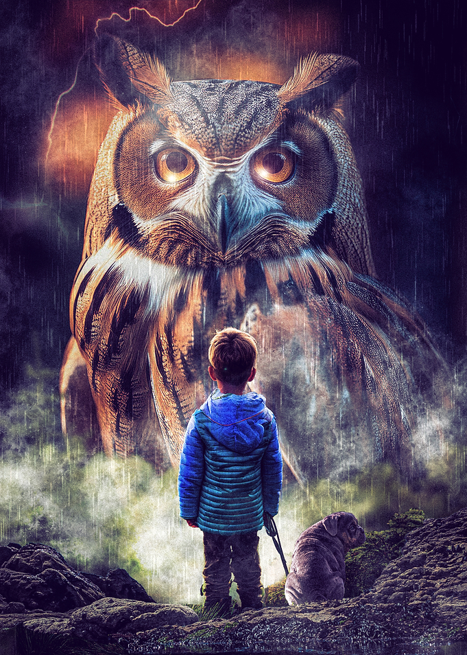 Boy and Giant Owl
