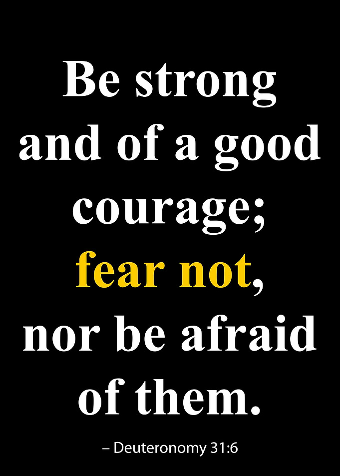 Deuteronomy 31:6 Quote