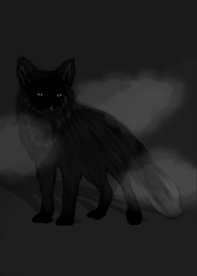 Black Fox in the Dark