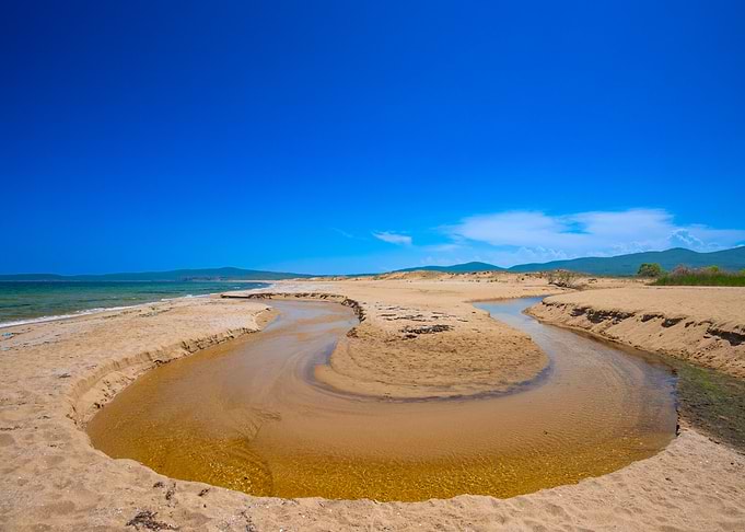 A wild river by the sandy beach by the sea