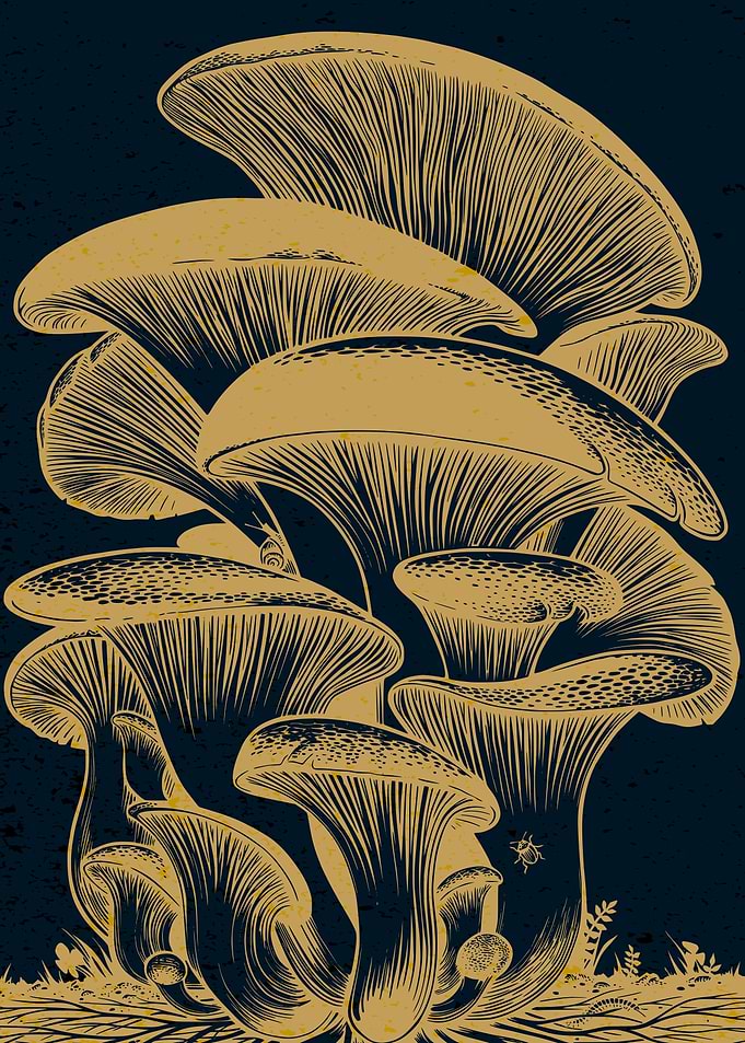 Vintage Mushroom Illustration