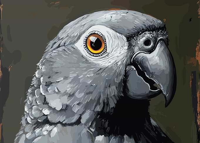 Grey Parrot Portrait