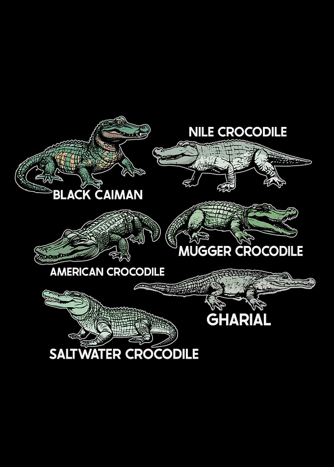 Nile Crocodile Species Kids Gharial Mugger Crododile