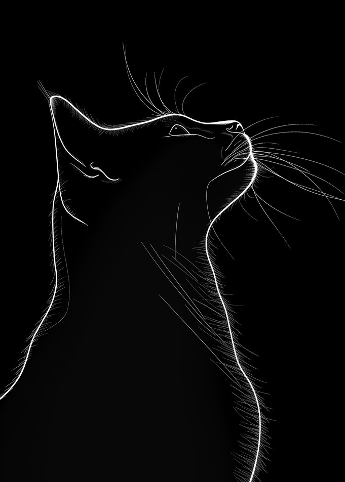 Black White Cute Cat Silhouette