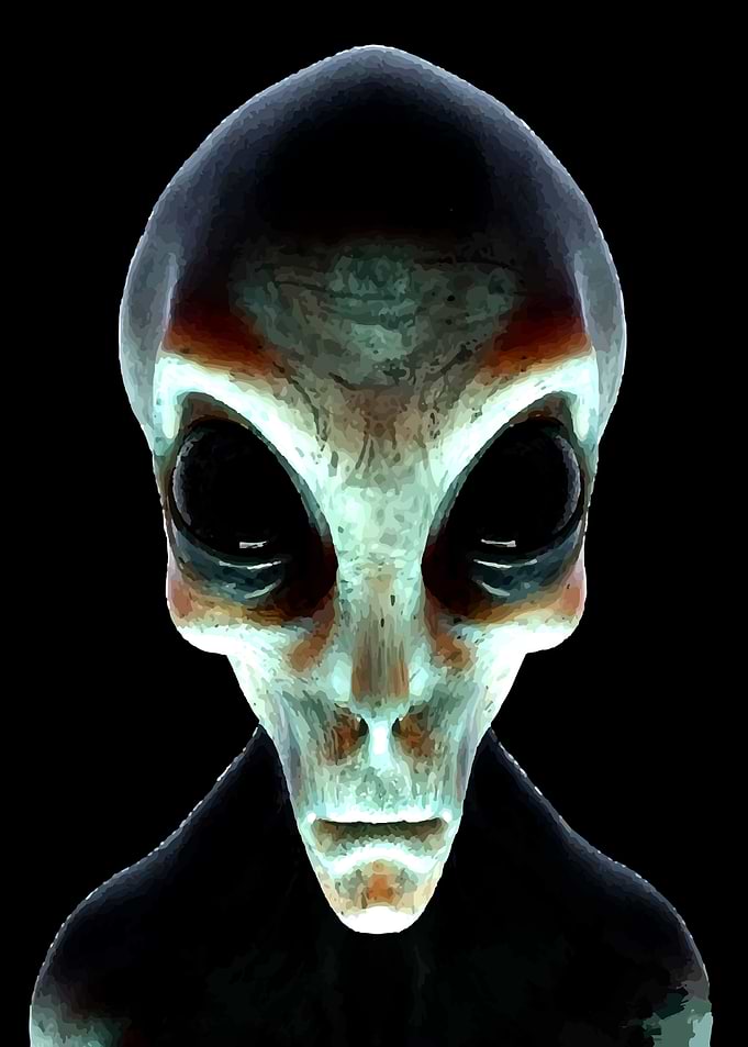 Grey Alien Portrait