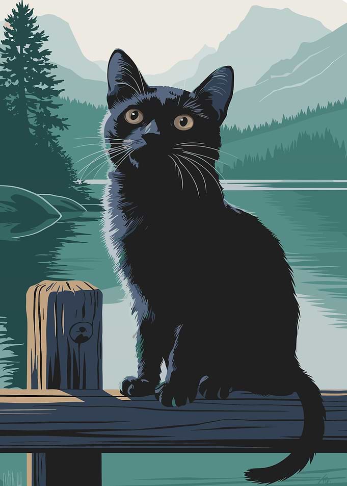 Black Cat by the Lake