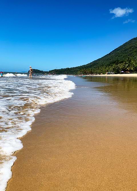 Ellis Beach Tropical North Queensland — landscape photograph on metal