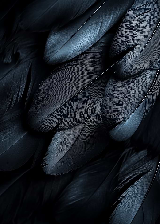 Black Feathers Texture