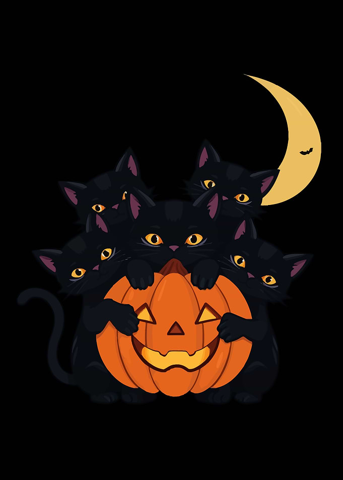 Black Cats & Pumpkin