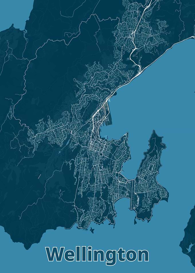 Wellington City Map