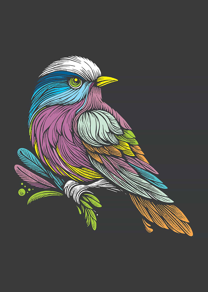 Colorful Bird Illustration