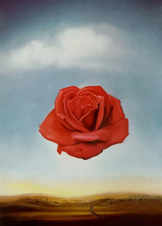 Meditative Rose Salvador Dali