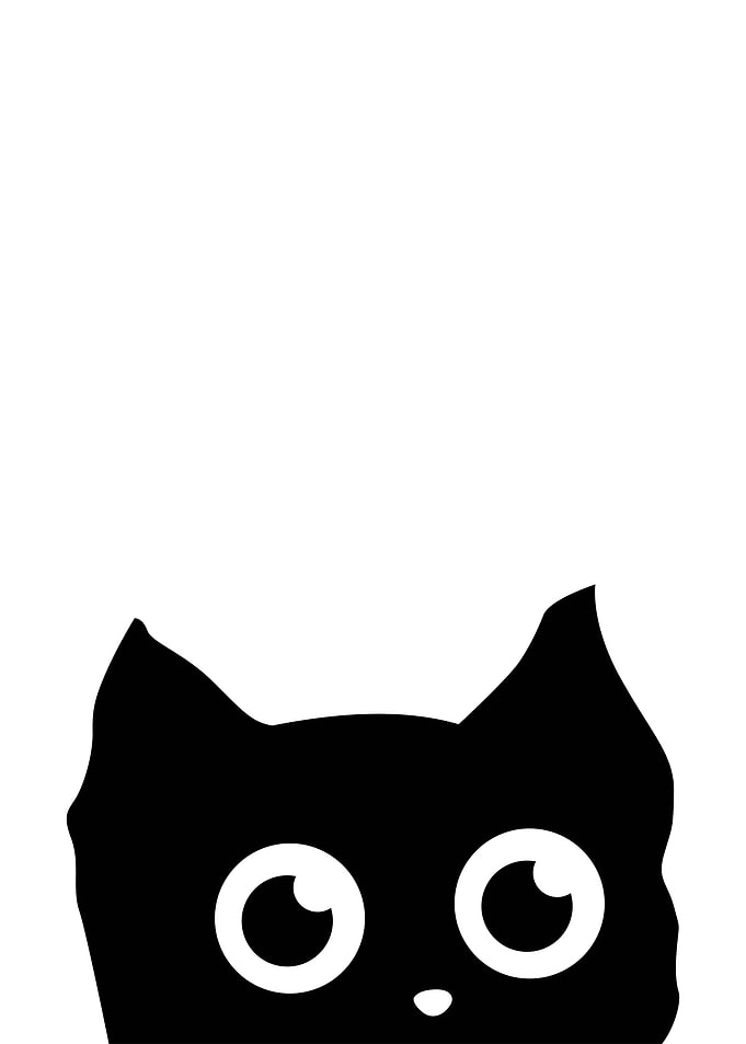 Funny Black Cat Curious