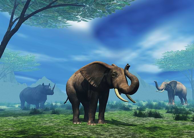 African Elephant and Rhino