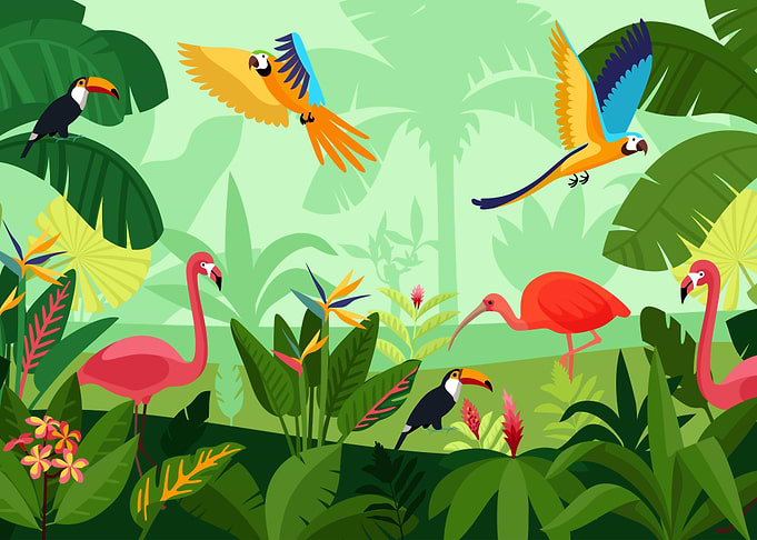 Tropical Birds in Jungle