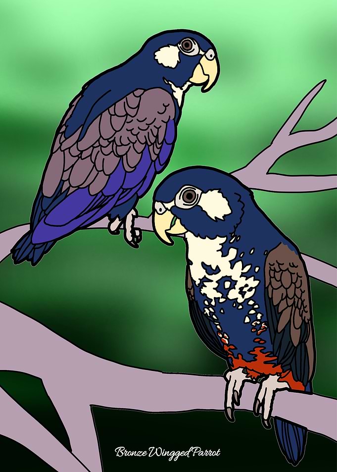 Bronze-winged Parrots
