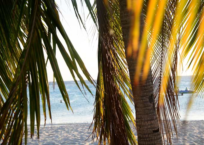 Caribbean Beach Bliss 2