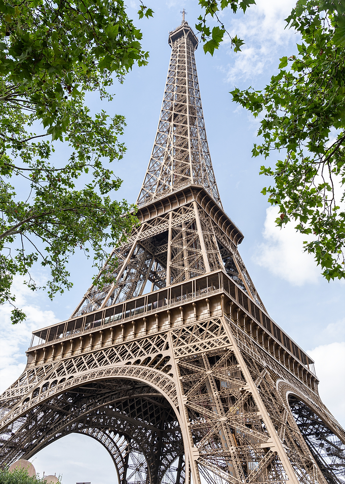 Eiffel Tower View