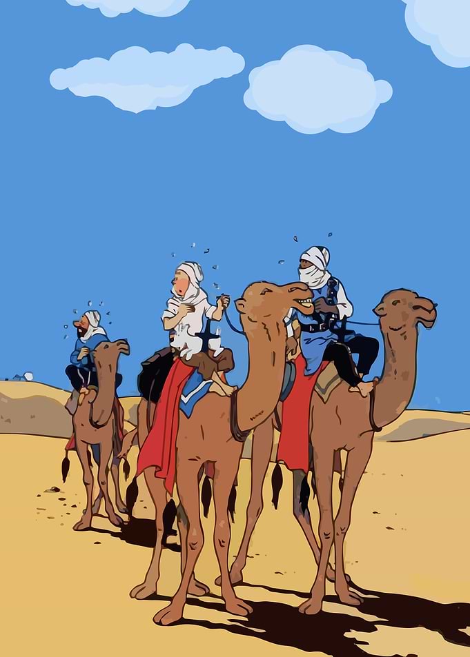 Tintin Desert Adventure