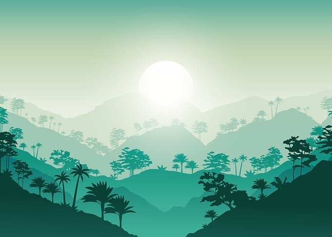 Tropical Mountain Landscape