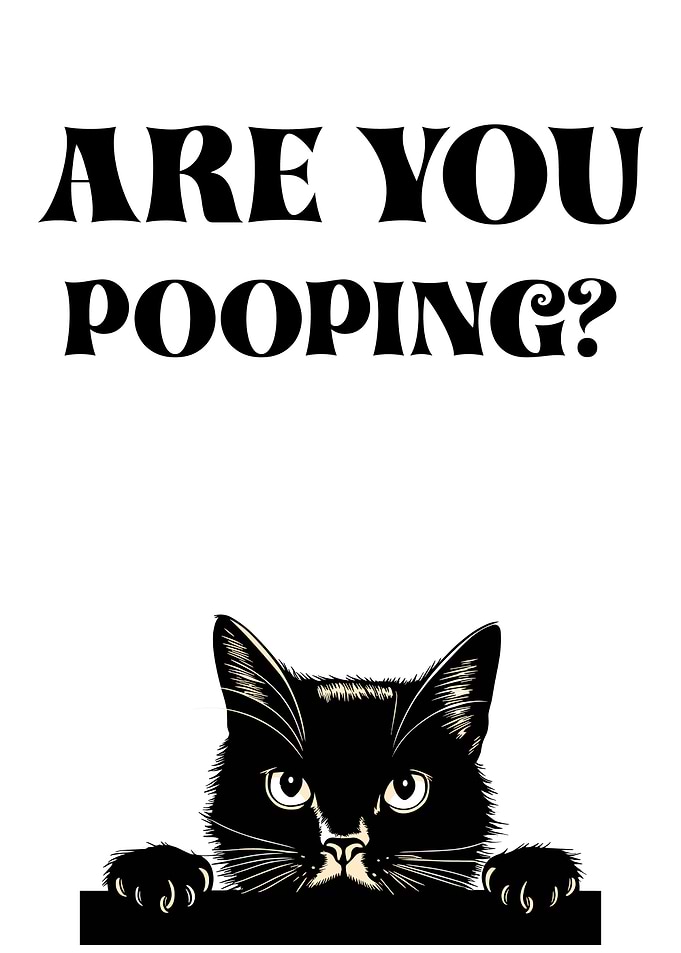 Cat Pooping Question