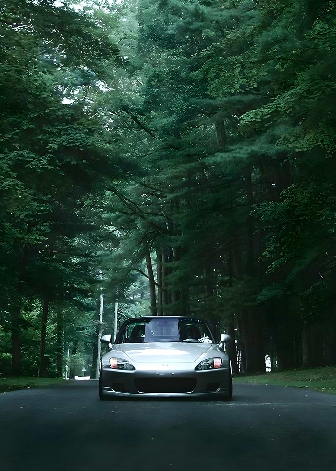 Silver Honda S2000 in Forest