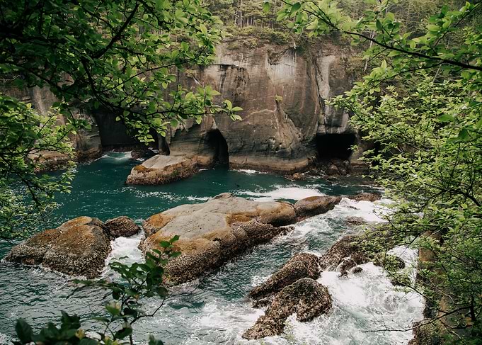 Cape Flattery