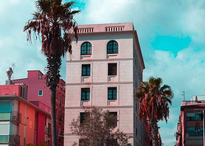 Palm Tree Cityscape