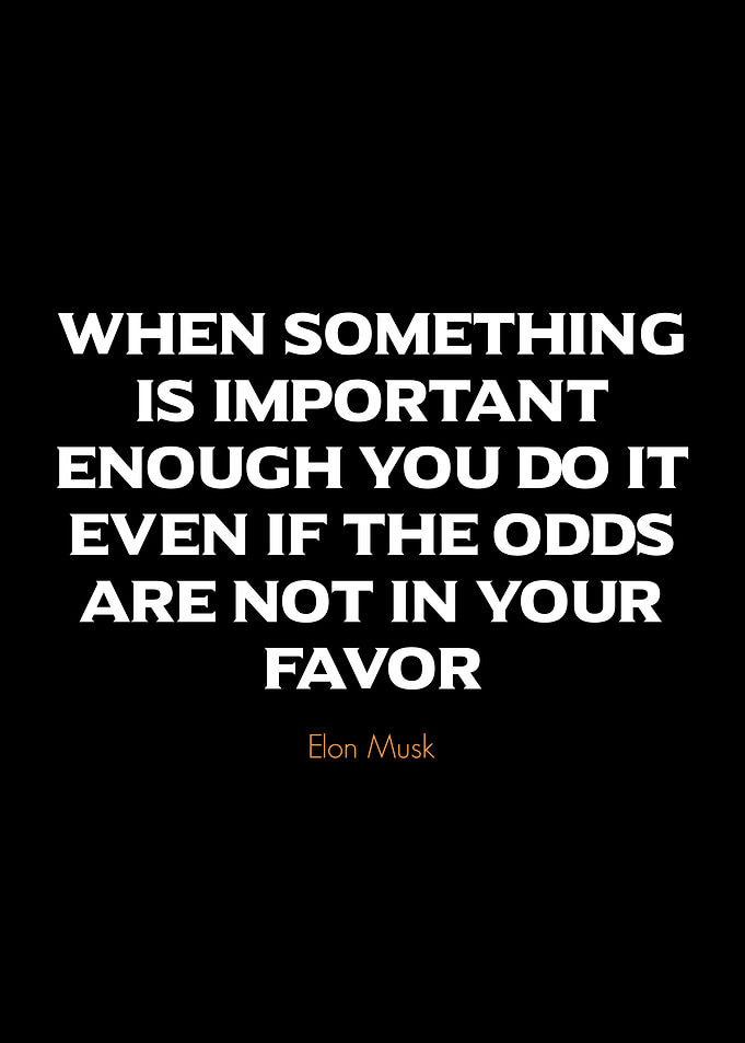 Elon Musk Quote - Importance