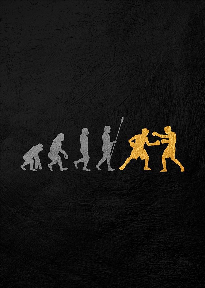 Evolution of Boxing