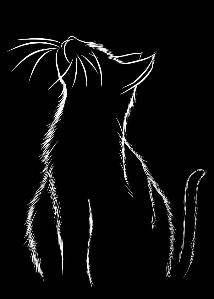 White Cat Silhouette