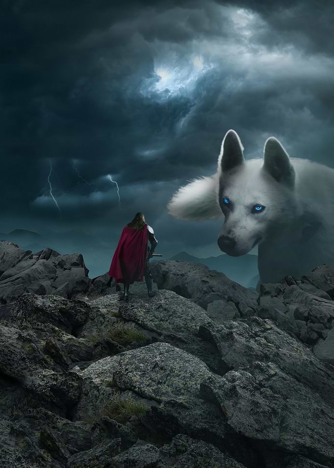 Knight and Giant Wolf