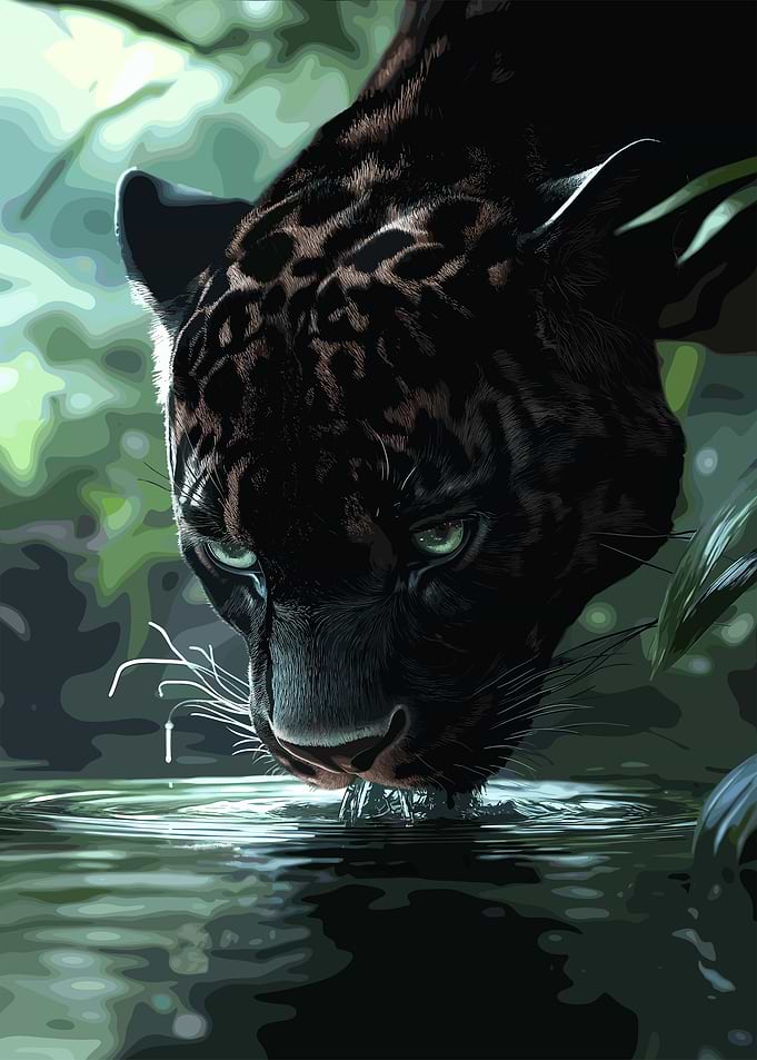 Black Panther Drinking