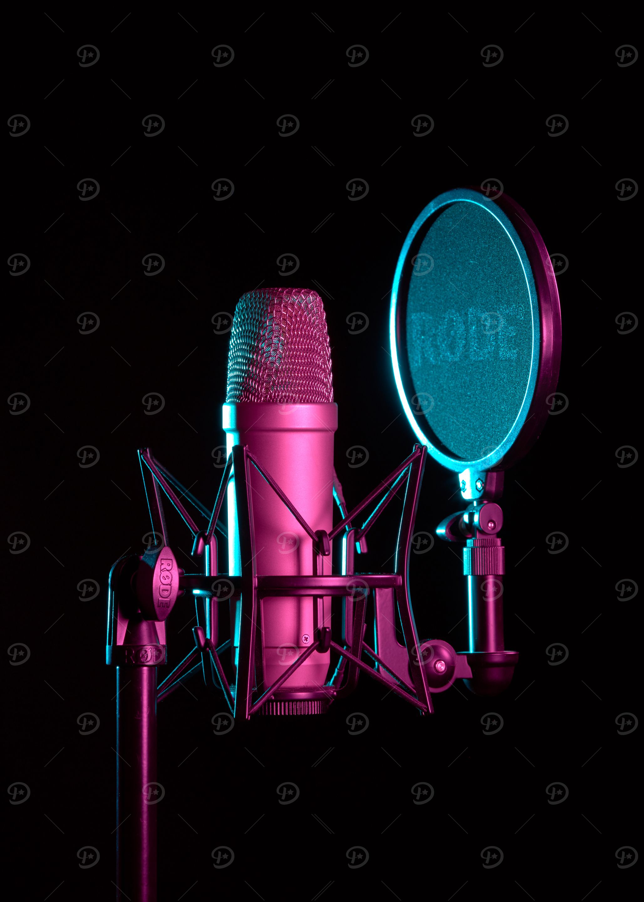 Studio Microphone Setup