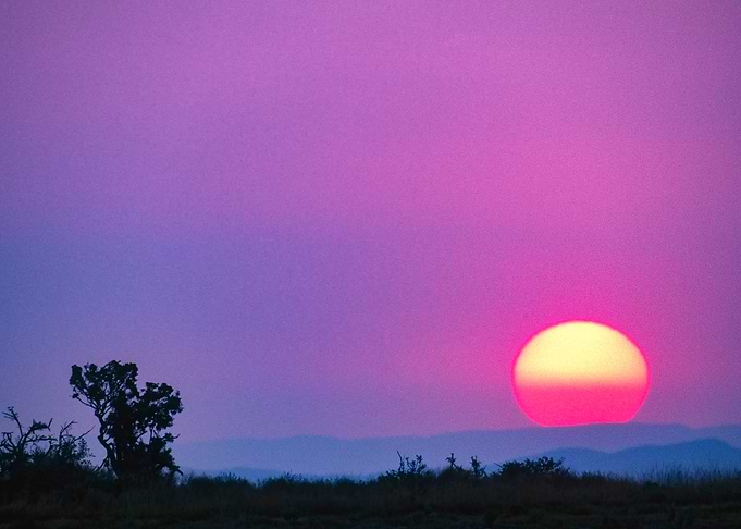 South Africa, Eastern Cape, Addo Elephant National Park, sunset
