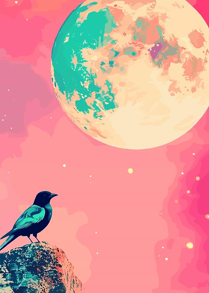 Lonely Bird Under Moon