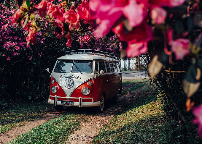 Vintage Bus in Bloom