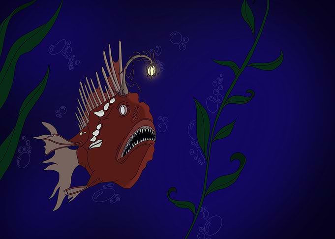 Deep Sea Anglerfish