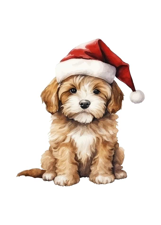 Christmas Puppy