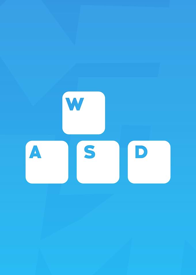 WASD Keys