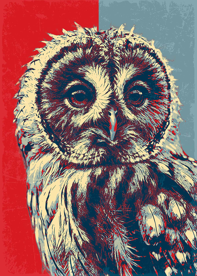 TAWNY OWL Retro