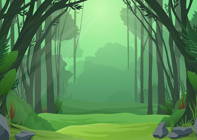 Green Forest Landscape