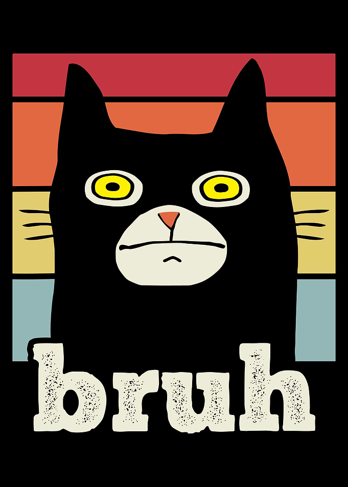 Bruh Cat Retro