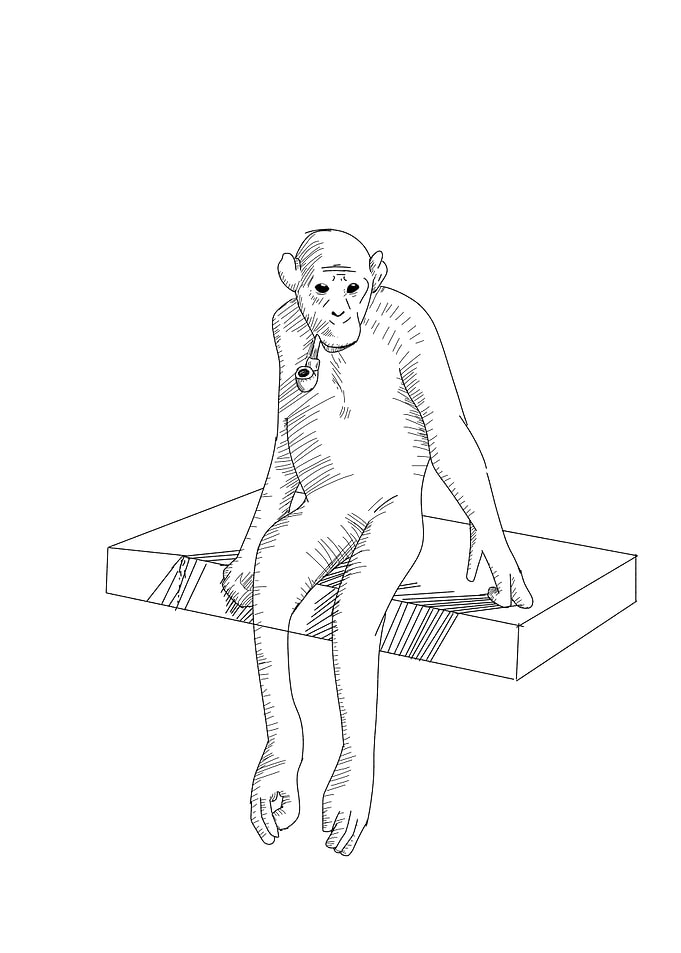 Mary the Chimp